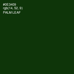#0E3409 - Palm Leaf Color Image